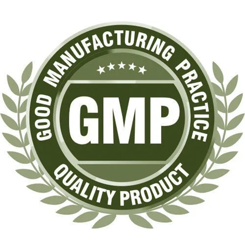 gmp logo